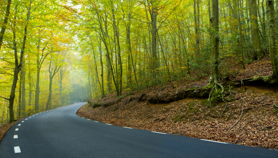 Zeichenbüro recAdimo Anfahrt